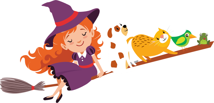 Witch on the broom